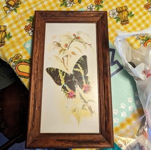 Butterfly Lithograph Wood Framed Art Vintage